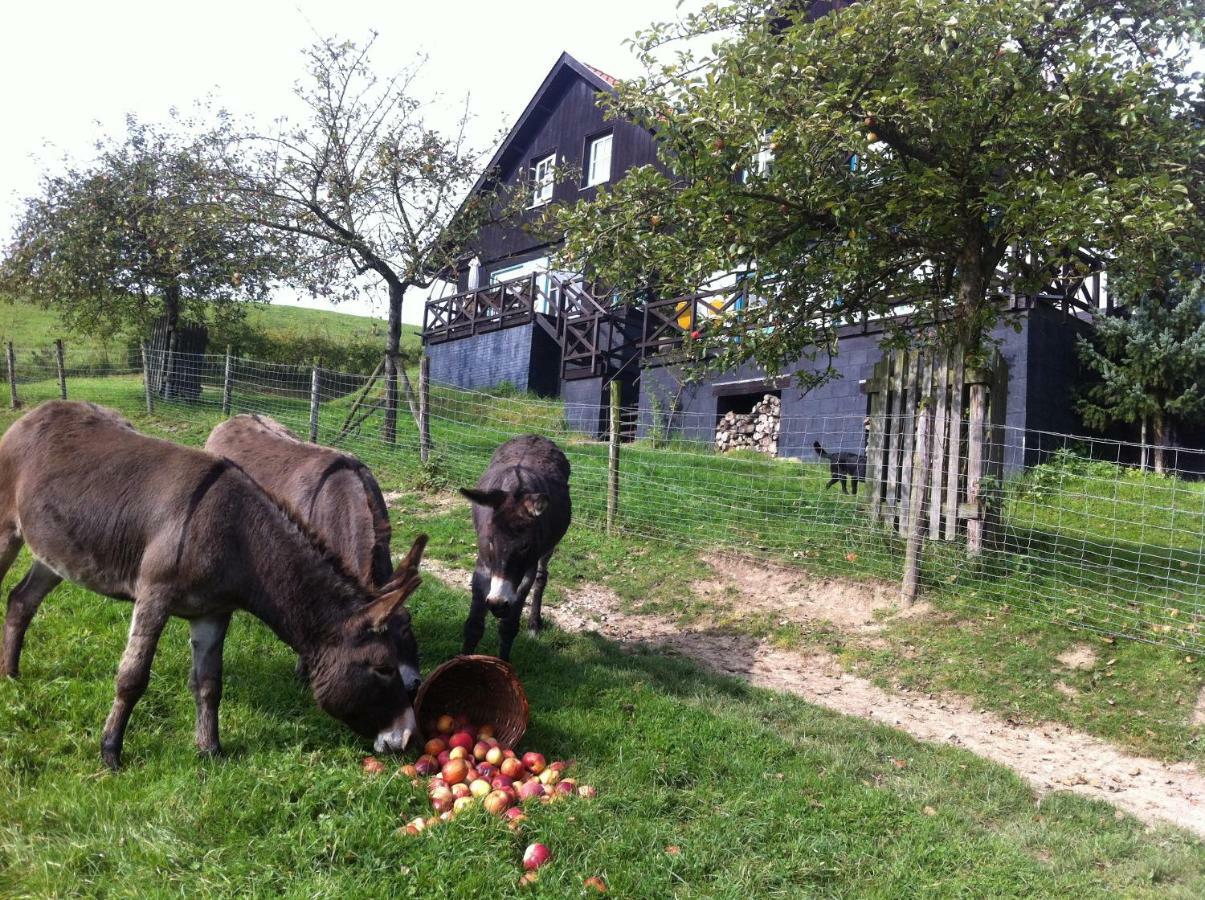 Hoeve Schoonzicht Wijlre ภายนอก รูปภาพ